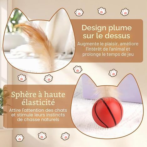 Balle Jouet Chat, Balle Interactive Chat avec Plumes, Jouet Interactif pour Dressage, Poursuite, Exercice (1/4)