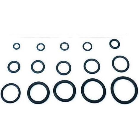 1CF O-RING 15,10X2,70 X CANNA LAVELLO PZ 100