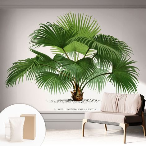 Carta Da Parati Non Tessuto - Con Colla Gratuita - Con Motivi Moderni - Design Elegante Per Pareti Palma esotica 312x219 cm (1/5)