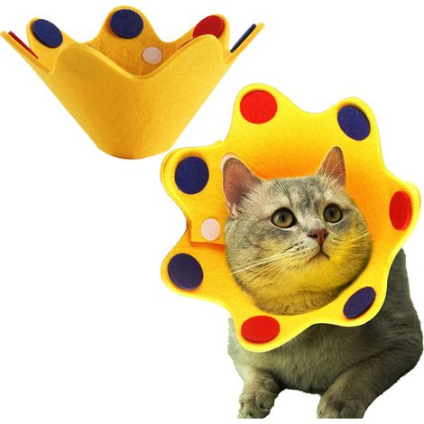 1 Collier de protection, ajustable, feutre souple, post-opératoire, pour chat et petit chien (1/5)