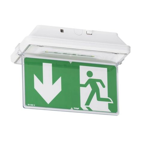 Legrand – Plaque pour porte pictogramme – Panneau en PVC – Résistant aux chocs – Pour signalisation intérieure et extérieure (1/4)