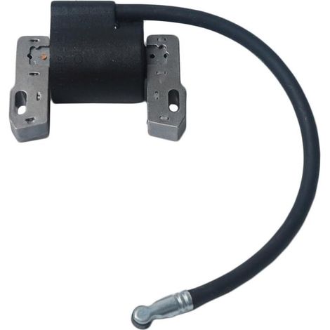 Bobina di accensione di ricambio con filtro a nido d'ape per indotto magnetico Briggs & Stratton 495859 491312 490586 492341 Nuova (1/4)
