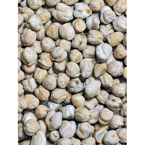 Pois chiche le sachet de 250 graines (100g) (1/2)