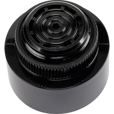 TRU COMPONENTS 595249 Miniatur Summer Geräusch-Entwicklung: 90 dB  Spannung: 24 V/DC Intervallton, D