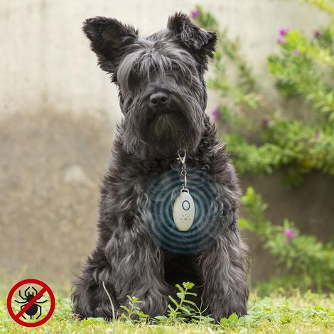 Northix PetRep InnovaGoods Repellente a Ultrasuoni Argento