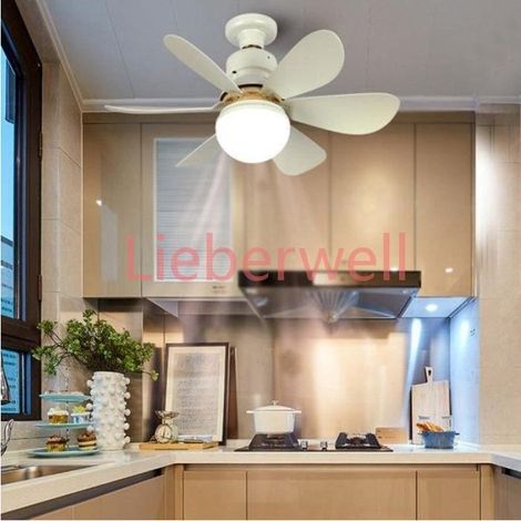 E27 Dimmable LIEBERWELL Ceiling Fan with 30W Lamp, Remote Control, 3 Speeds, Timer, Silent 2-in-1 Ceiling Light Fan (1/5)