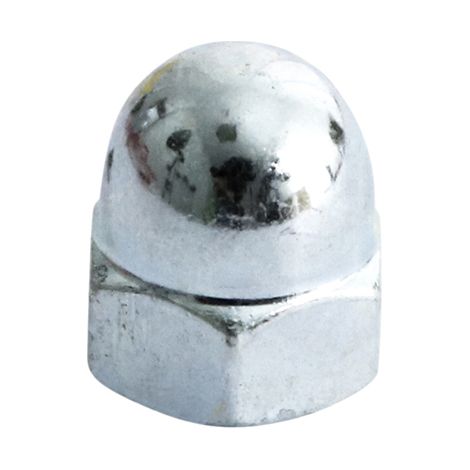 TIMCO Hex Dome Nuts DIN1587 Silver - M20