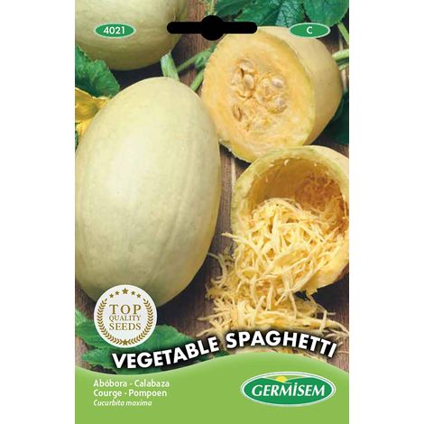 graines Courge VEGETABLE SPAGHETTI
