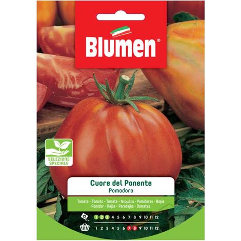 SEMI POMODORO CUORE DEL PONENTE BLUMEN