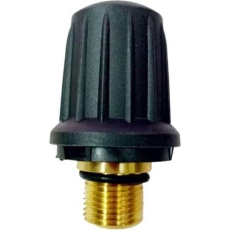 Bouchon de soupape de sécurité en laiton de rechange 4.590-105.0 pour nettoyeur vapeur Karcher SC1.010 SC1.020 SC2.000 SC3.000 Series Accessoires Bouchon de sécurité de remplacement c