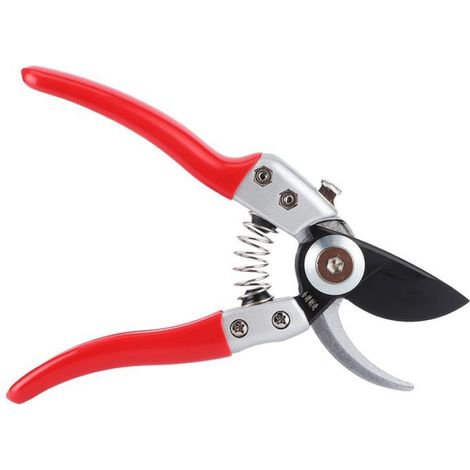 Sécateur - Acier Inoxydable - Pour Élagage Arbres Fruitiers - Ergonomique - 1 Pièce (1/5)