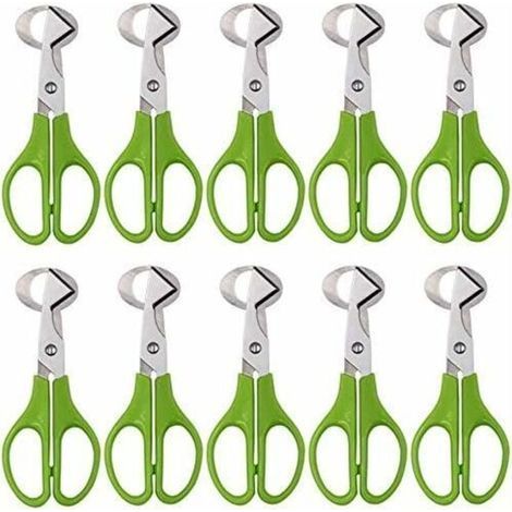 Lot de 10 ciseaux à œufs de caille, coupe-œuf en acier inoxydable (1/4)