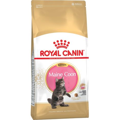 Alimento Royal Canin FBN para gatitos Maine Coon, 36 g, 2 kg