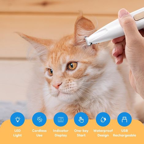 Tosatrici per cani - Tosatrici per zampe con luce LED - Tosatrici - Tosatrici elettriche per cani - Kit per la toelettatura - Impermeabili - Cura delle zampe - Rasoio per animali domestici - Per cani (1/5)