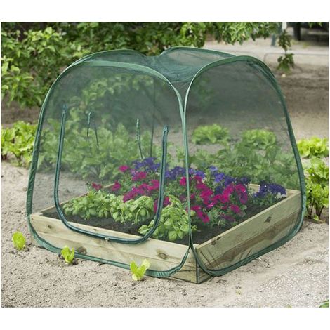 Direct Filet Filet anti-insectes pop-up 1x1m Maille 1x1mm en polyester Armature acier Protection optimale pour carré potager