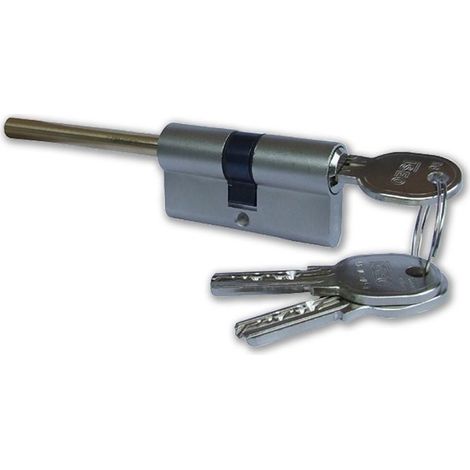 Cilindro Predisposto Per Pomolo Nichelato 30X40 8869R6 ISEO
