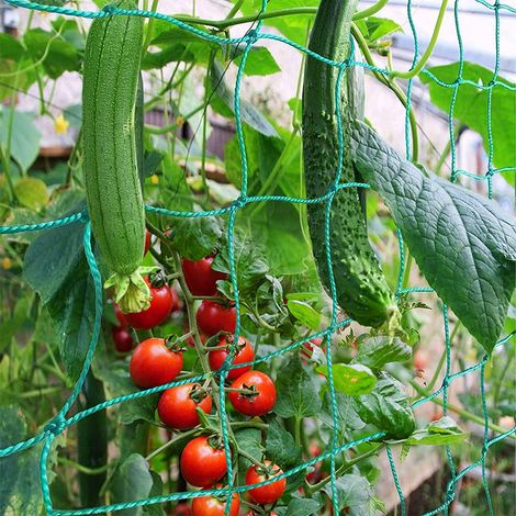 Filet de Jardin, Treillis Jardin Filet Support Plante Grimpante Filet Tuteur Vert avec Grande Maille pour Concombres, Tomates, Recolte Filet de Grimpantes Plantes - 2m x 5m