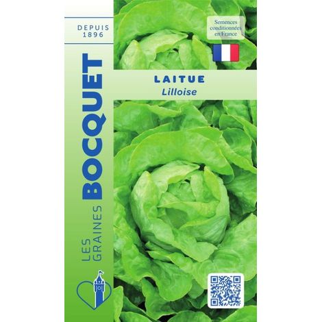Laitue lilloise - 2g