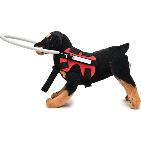 Filiyano-Harnais pour chien léger et réglable avec cachette pour chiens et chats (1/5)