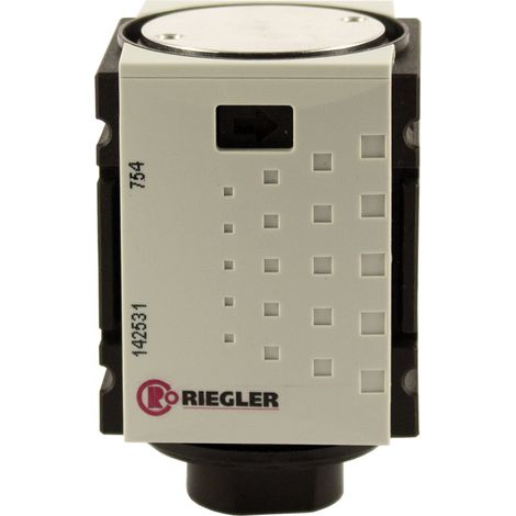 Riegler Rückschlagventil »FUTURA-mini«, BG 0, G 1/4 (1/4)