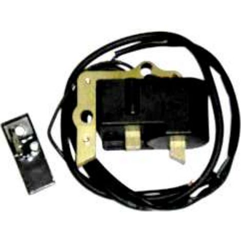 Accensione elettronica motore Beta B210 compatibile
