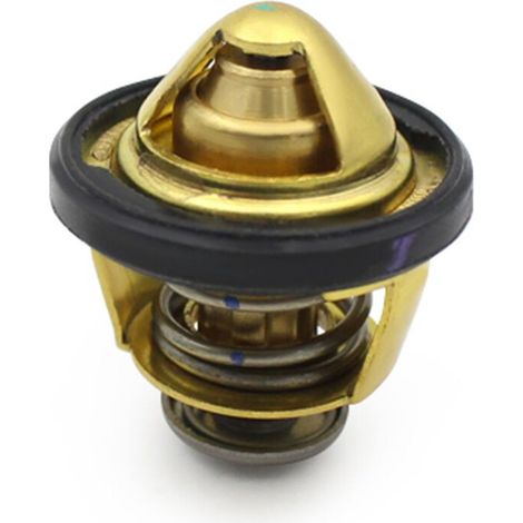 Kühlthermostat für Motorräder GTS300 GTV300 GTS250 Motorradzubehör Goldfarbe.