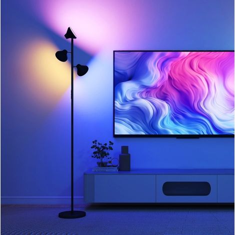 Lampe sur pied LED RGB dimmable 170 cm noire HAVRYA (1/5)