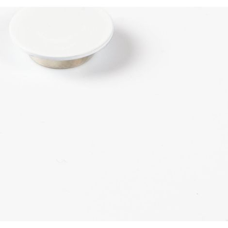 Magna-C Spezialmagnet Ø23mm für Magnethaftfarbe (1/3)