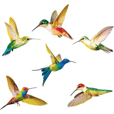 6 Kolibri-Aufkleber, Vogel-Fensteraufkleber, Antikollisionsschutz