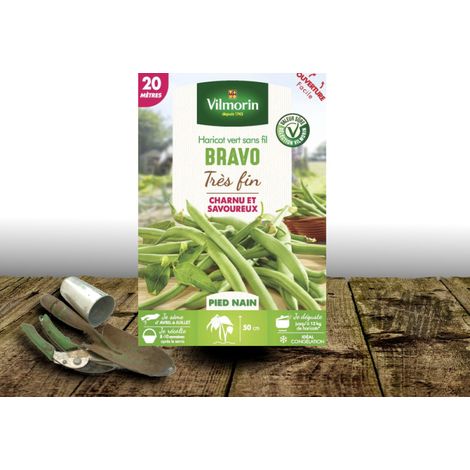 Graines de Haricot Nain vert sans fil Bravo - Vilmorin/Boite - 20 mètres