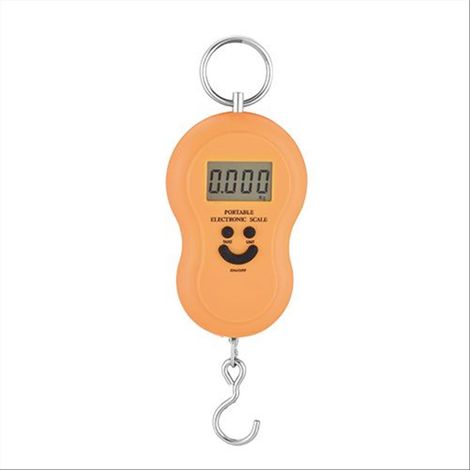 Bilancia digitale portatile per uso domestico con portata massima di kg 40 (1/2)