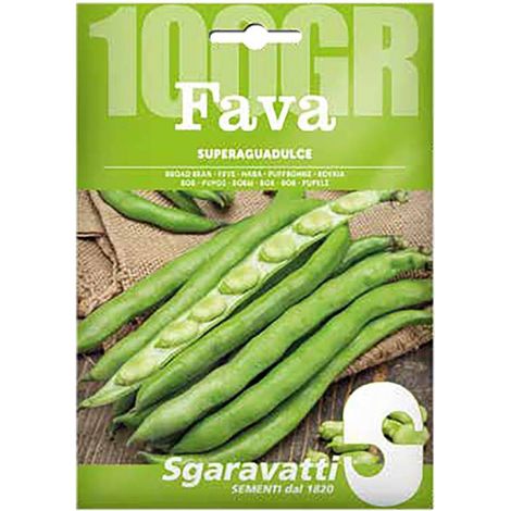 SEMI PER FAVE fava superaguadulce - gr 250
