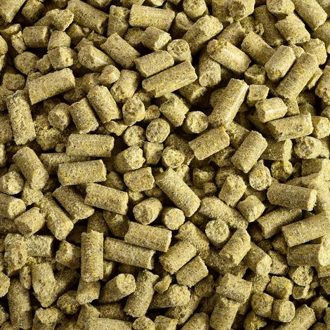Wagner's Pellets - Granuli pressati a freddo Wagner's per pappagalli di medie e grandi dimensioni 750 g (1/5)