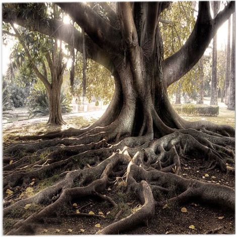 Lupia - Quadro moderno grande su tela WALL 160x160 cm PAESAGGI BAOBAB, set 4 pz tele 80x80 cm per soggiorno camera da letto (1/4)