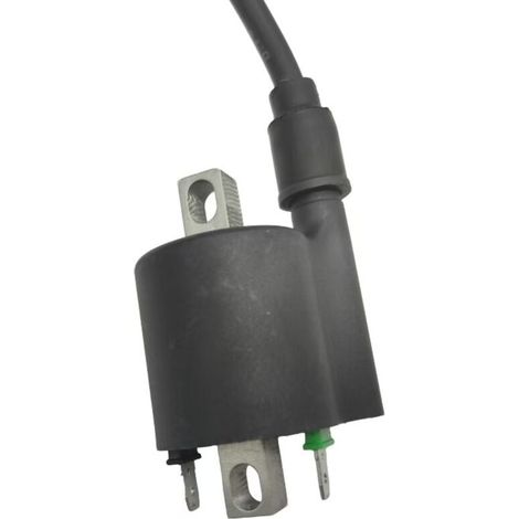 Zündspulenzubehör für Regalraptor 350 Motorräder mit Hochspannungstransformator 281409721D12A. (1/2)