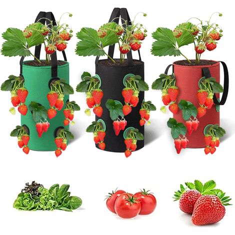 set of 3 breathable fabric strawberry planting bags – hanging pots, 20 x 35 cm in size, with pre-cut planting holes, suitable for vertical gardens, balconies, terraces and indoor herb cultivation.--DT
