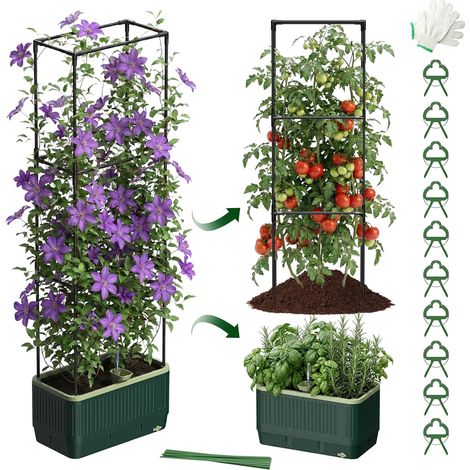 Self-Watering Tomato Pot with Climbing Stand, 130cm Planter Tray with Trellis, Garden Stairs with Grow Tray, Raised Pot for Climbing Plants (1/5)