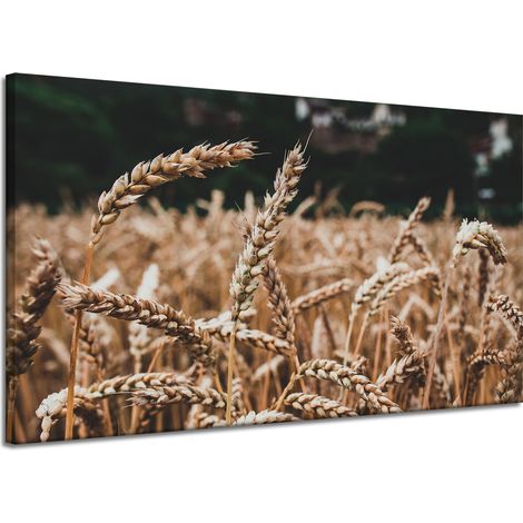 Lienzo impreso Naturaleza Campo de trigo 120x70 cm Espigas de cosecha