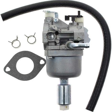 591731 Carburetor 591731 796109 594593 590400 796078 498811 794161 (1/3)