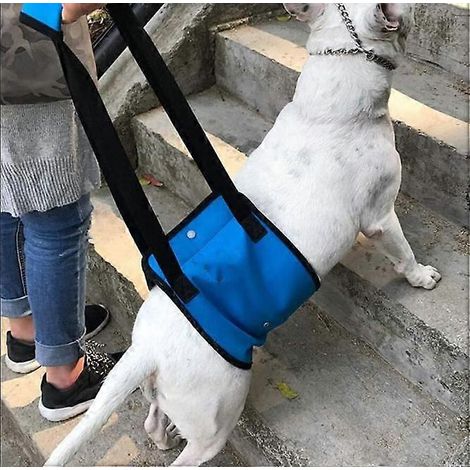Harnais de soutien pour chien, harnais de rééducation, sangle d'assistance à la mobilité pour chiens adultes handicapés ou blessés. (1/5)