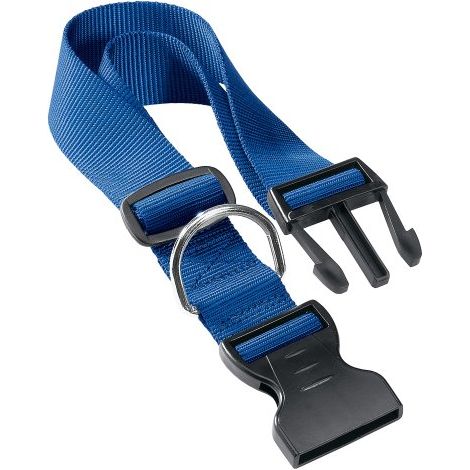 Ferplast CLUB C Collare in nylon per cani, in varie misure e colori. Variante C40/70 - Misure: A: 45-70 cm B: 40 mm - Blu