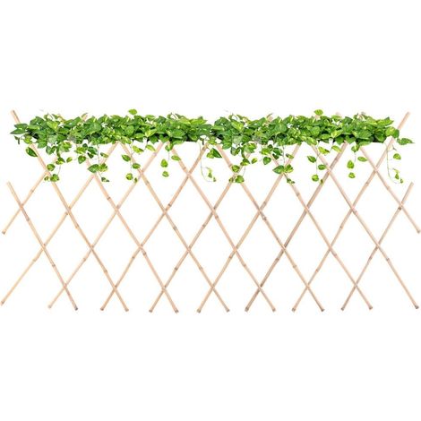 TREILLIS POUR PLANTES DE (1/5)