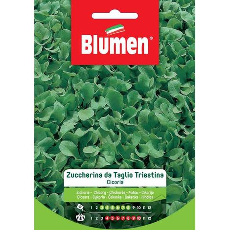 Blumen. Semi di Cicoria Zuccherina da Taglio Triestina