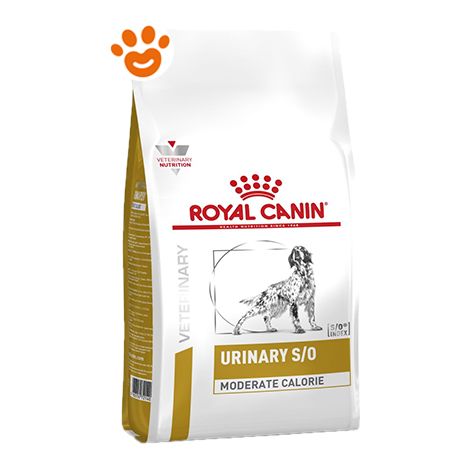 Royal Canin Dog Veterinary Diet Urinary S/O Moderate Calorie  - Royal Canin Dog Veterinary Diet Urinary S/O Moderate Calorie - Sacco Da 6,5 Kg