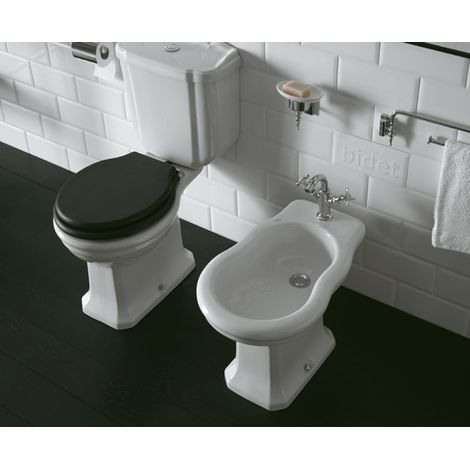 Sanitari Paestum monoblocco cm. 67x38 con sedile in poliestere (1/2)