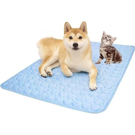 Tapis Rafraichissant - 70x55cm - Réutilisable - Bleu - Pour Chien (1/5)