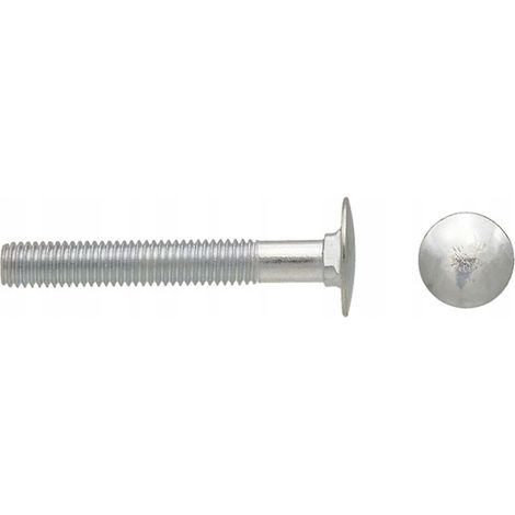 Tornillos de carro con cabeza de hongo M6x120, 1 kg (1/2)