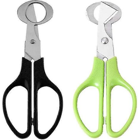 Coupe-œufs de caille, 2 ciseaux en acier inoxydable, petit ouvre-œufs de caille, coupe-cigare pour la cuisine et la salle à manger, petits ciseaux à œufs de caille pour la cuisine (1/3)
