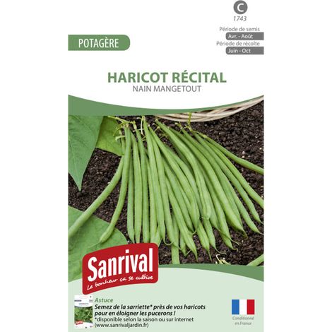 Graines Haricot Nain mangetout Casdantel