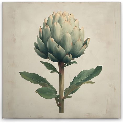 Leinwandbild Küchenmotiv Artischocke M1-No.51826 - Kunstdruck auf Leinwand in Creme Beige - Wandbild 30 x 30 cm (1/5)